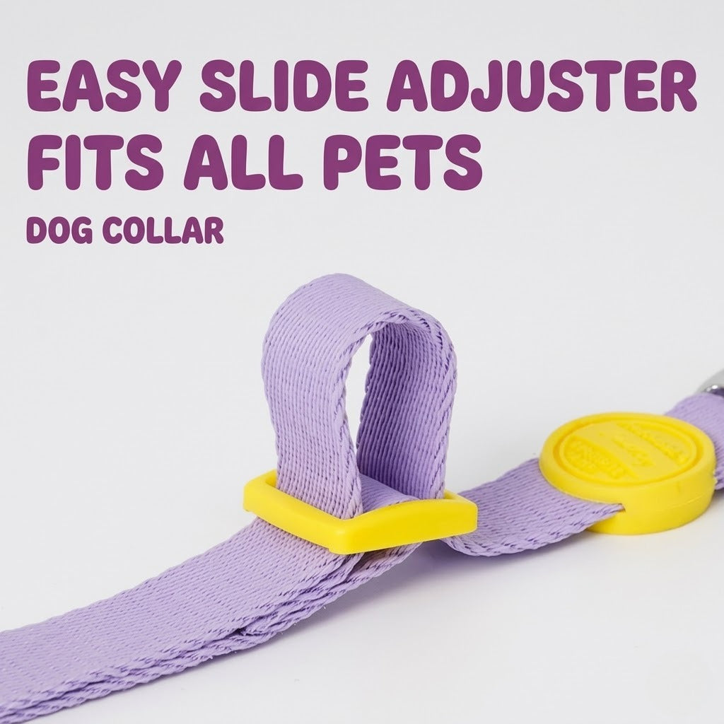 Soft Nylon Collar & Leash Set