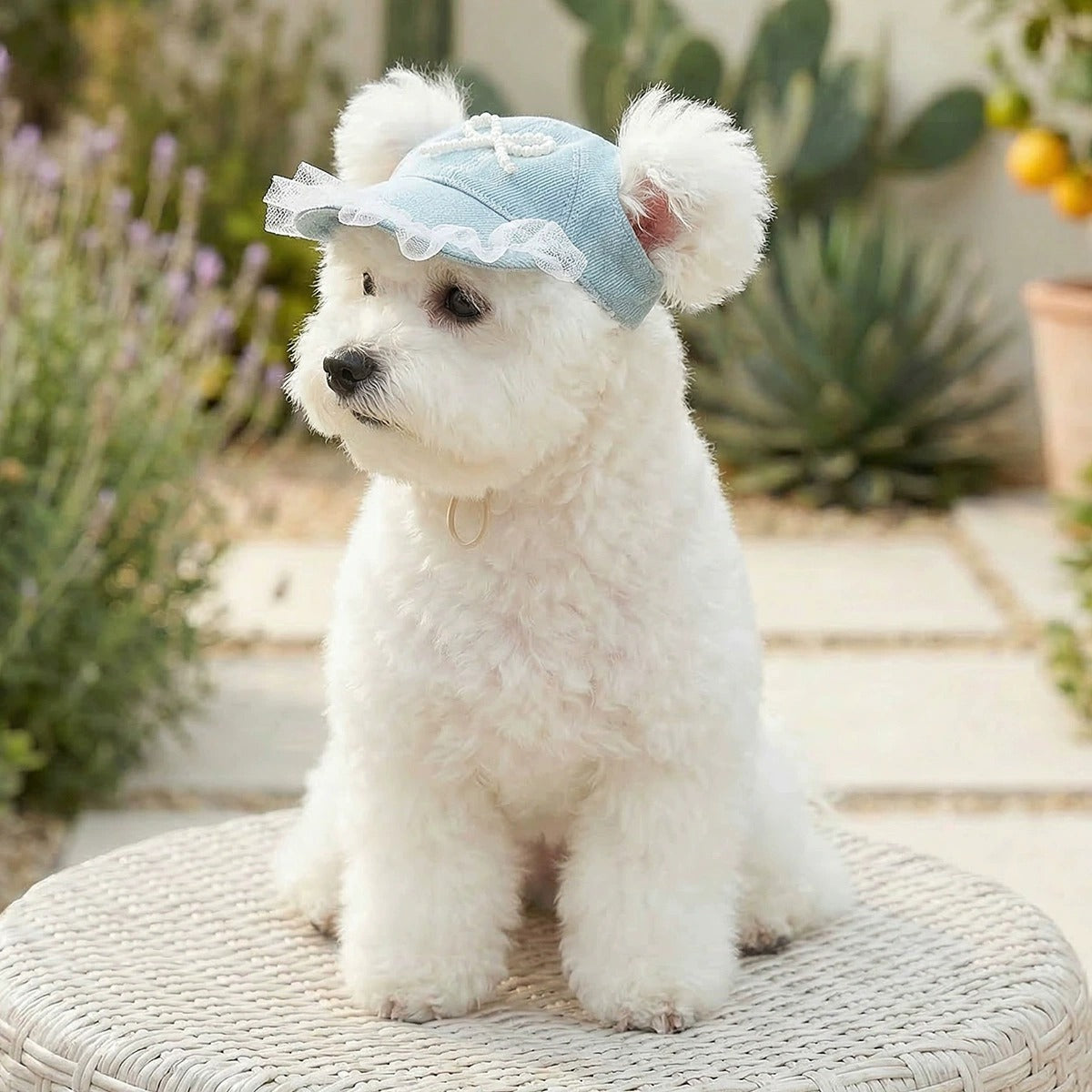 Adjustable Outdoor Dog Hat
