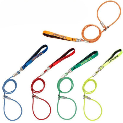 Braided Training Leash for Dogs – Multi