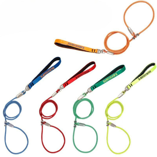 Braided Training Leash for Dogs – Multi