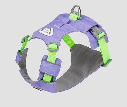 Lightweight Breathable Matching Dog Set