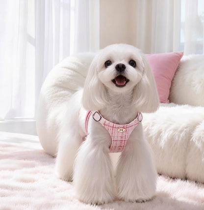 Plaid Harness & Leash Set