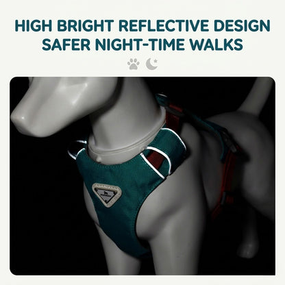 Lightweight Breathable Matching Dog Set