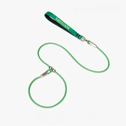 Braided Training Leash for Dogs – Multi