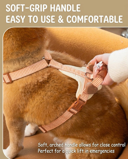 Plaid Harness & Leash Set
