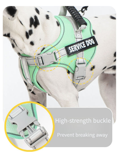 Reflective Harness & Leash Set