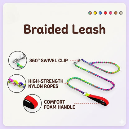 Colorful Braided P-Chain Dog Leash