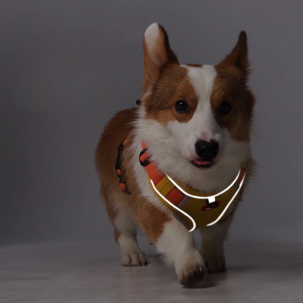 Reflective AirTag Dog Harness