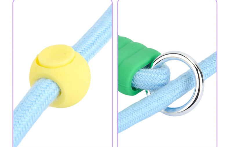 Cushioned Slip Lead Dog Leash