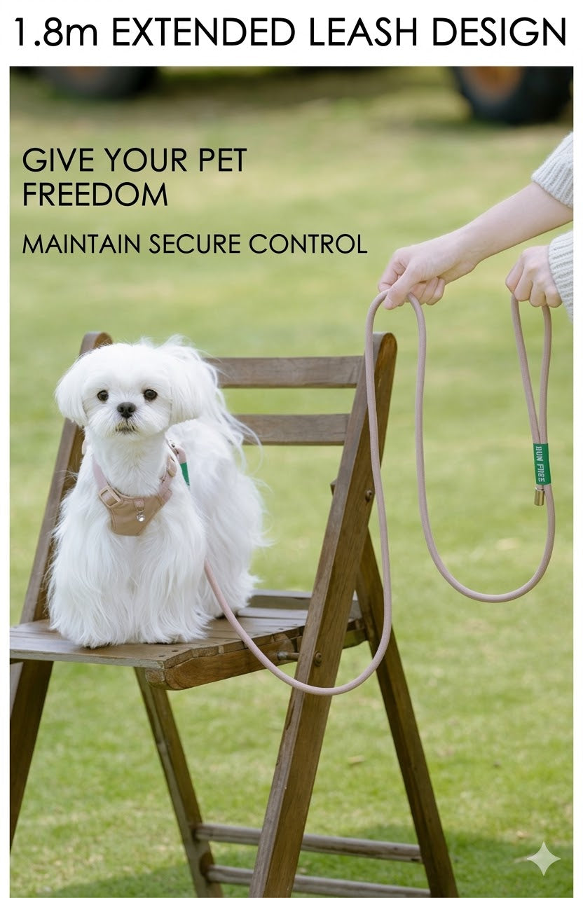Lightweight Harness & Leash Set