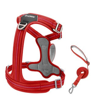 Reflective No-Pull Harness & Leash Set