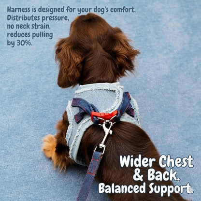 Denim Harness & Leash Set – Blue