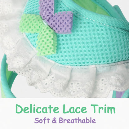 Lace Mesh Harness & Leash Set