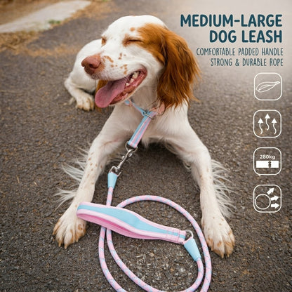 Reflective Braided Dog Leash
