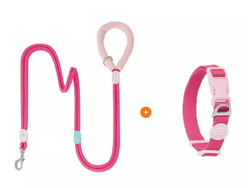 Soft Nylon Collar & Leash Set