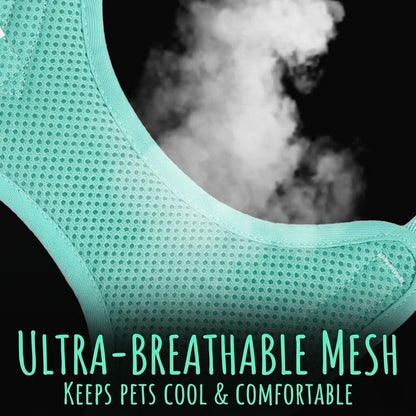 Reflective Mesh Harness & Leash Set