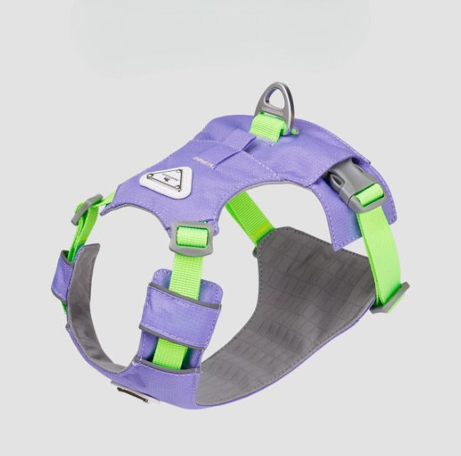 Lightweight Breathable Harness & Leash Set