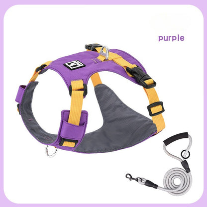 Lightweight Harness & Leash Set