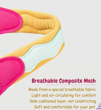 Breathable Y-Shape Dog Harness