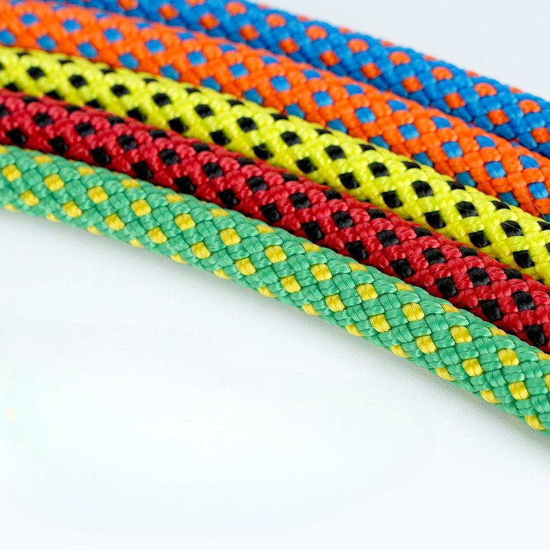 Braided Training Leash for Dogs – Multi