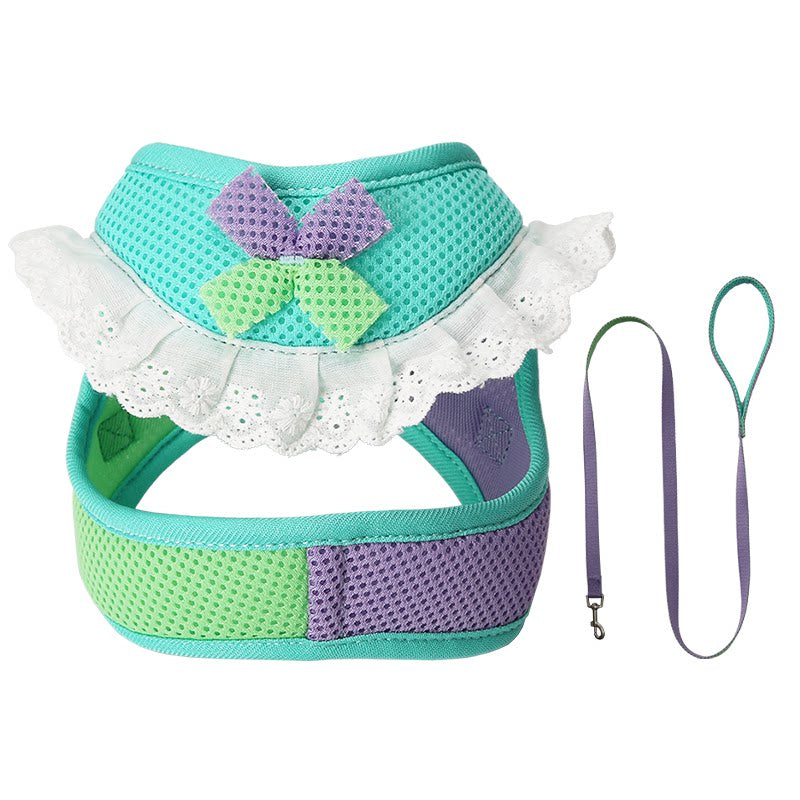 Lace Mesh Harness & Leash Set
