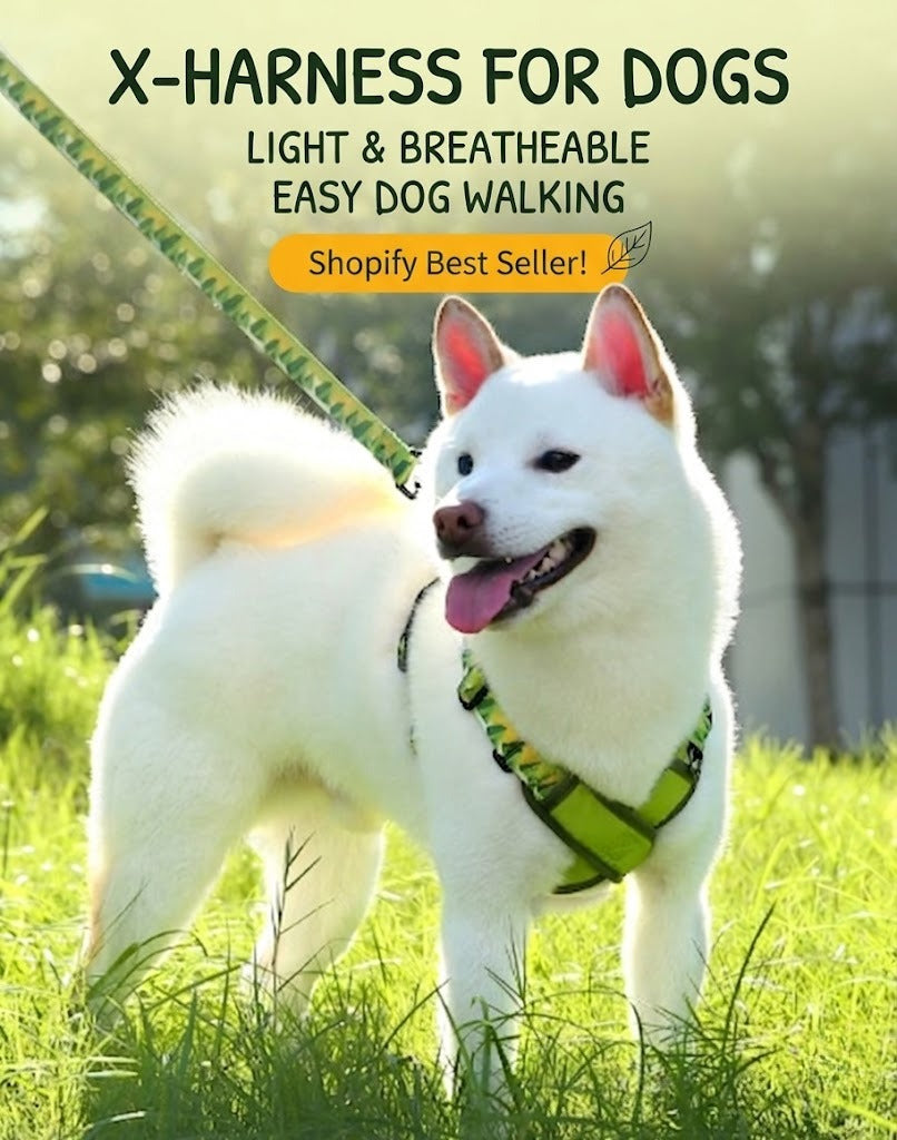 X-Shaped Breathable Harness & Leash Set