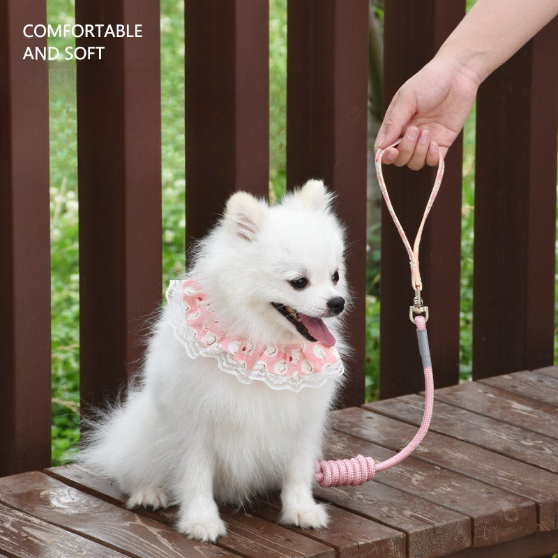 Lace Smiley Collar & Leash Set