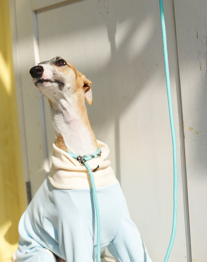 Embroidered Training Slip Dog Leash