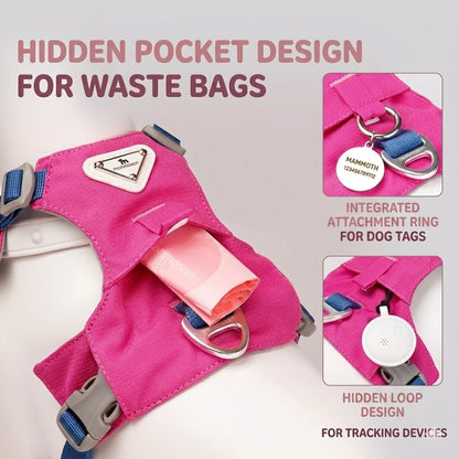 Lightweight Breathable Matching Dog Set