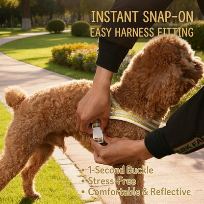 Reflective Mesh Harness & Leash Set