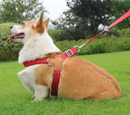 Reflective Y-Shaped Dog Harness
