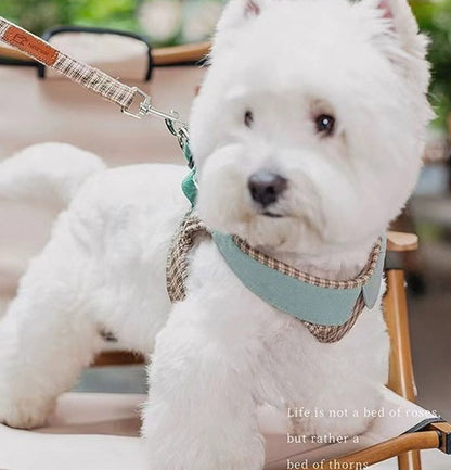 Plaid Harness & Leash Set