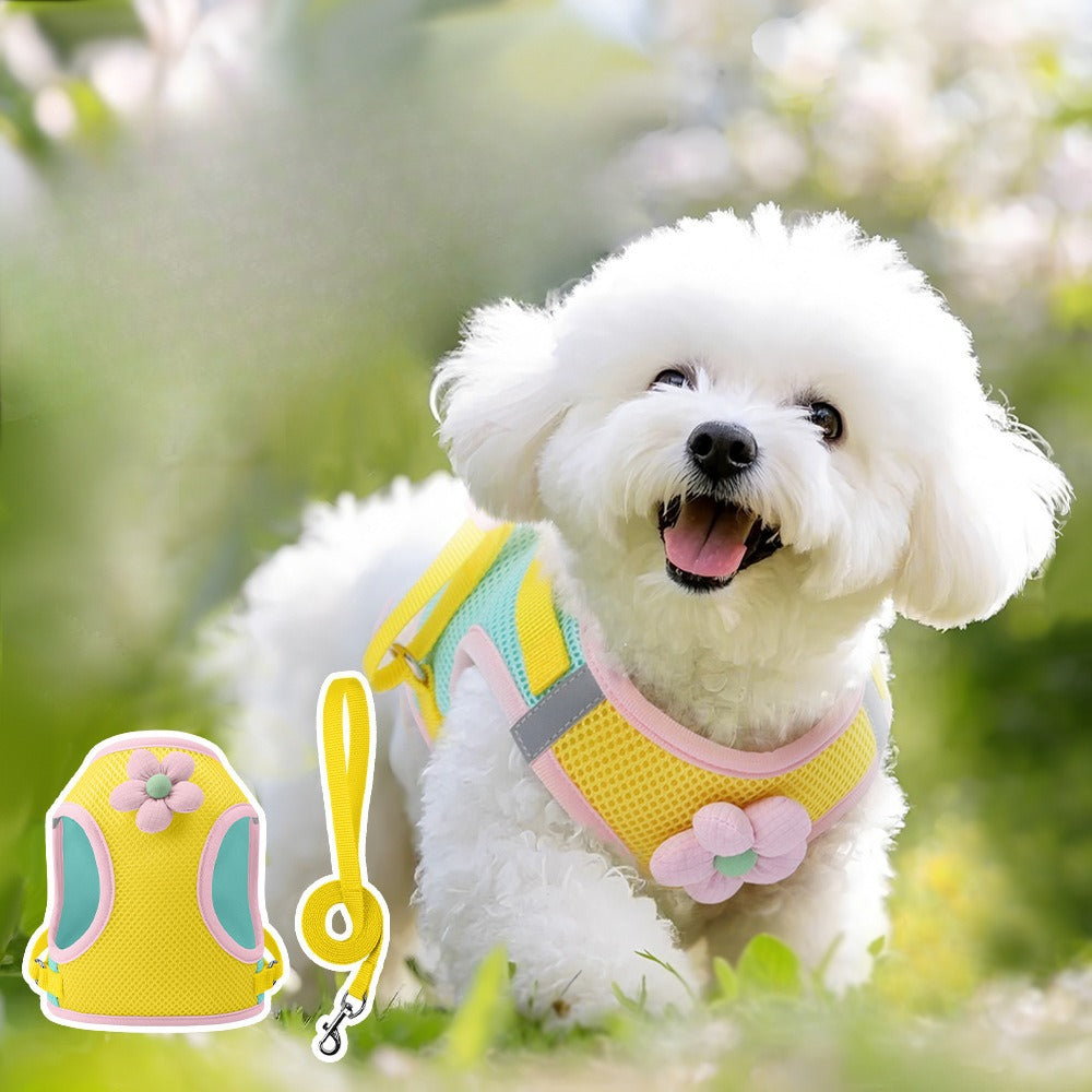 Floral Mesh Harness & Leash Set