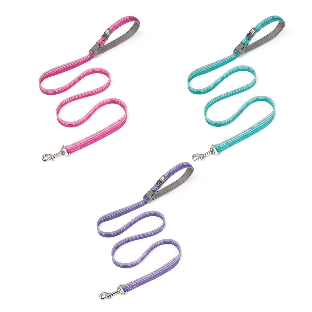 Multi-functional Reflective Dog Leash