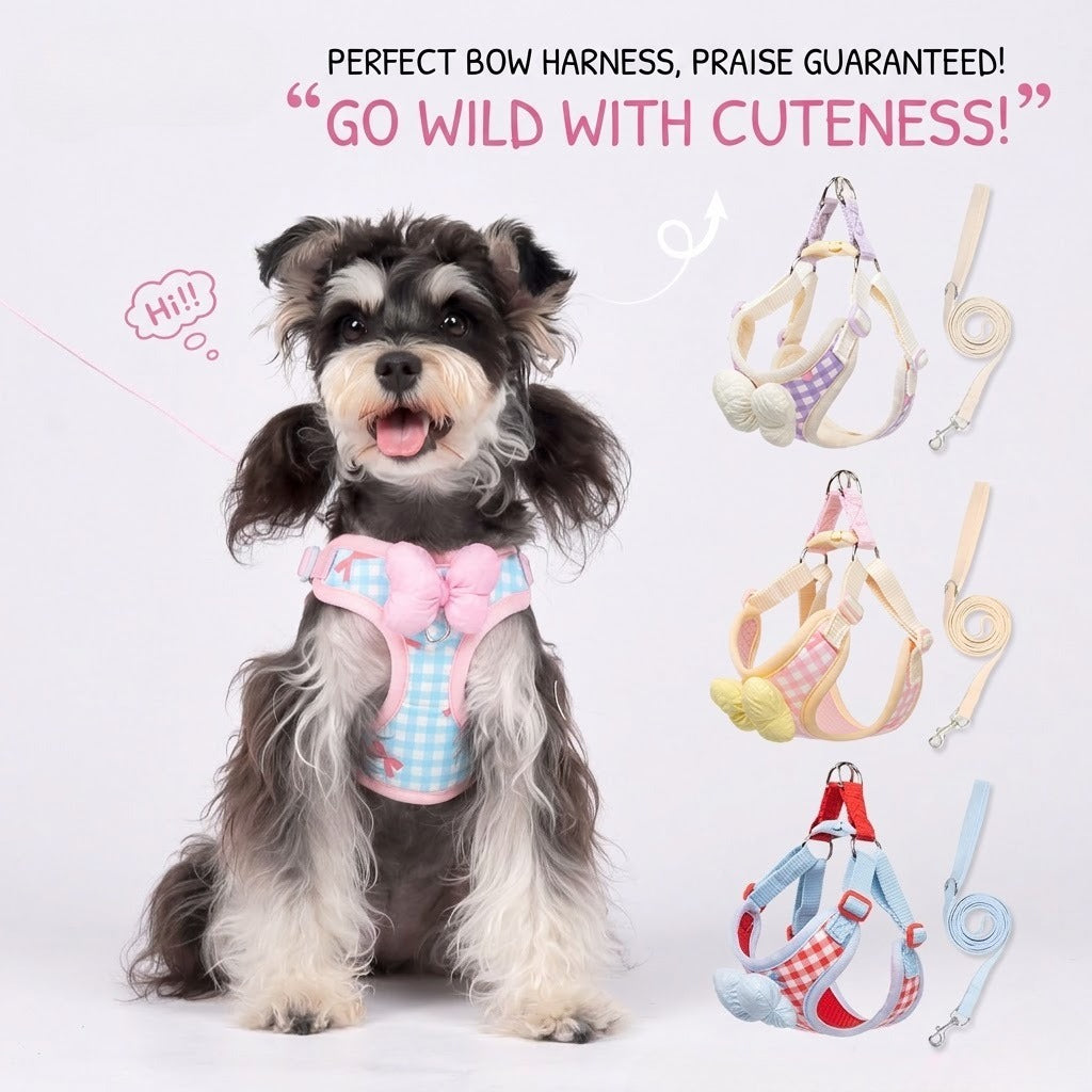 Plaid Bow Harness & Leash Set
