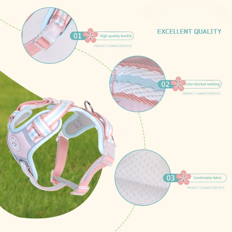Breathable Mesh Harness & Leash Set