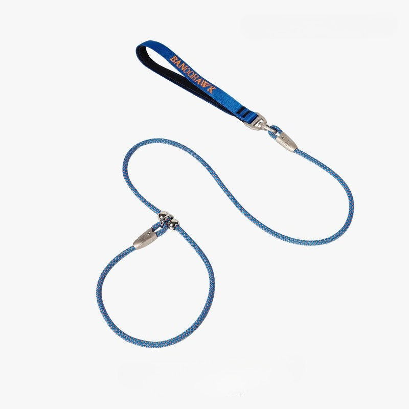 Braided Training Leash for Dogs – Multi