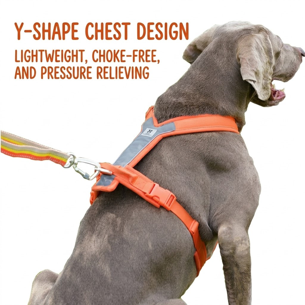 Reflective Y-Shaped Dog Harness