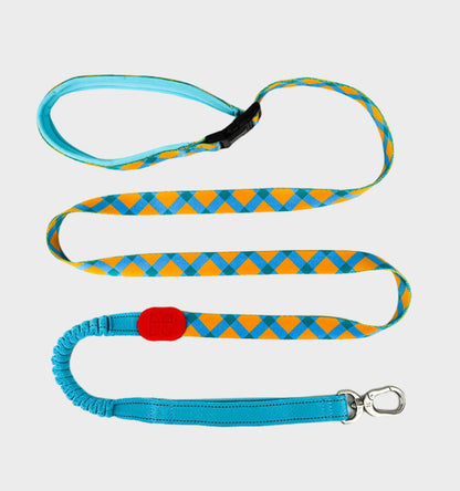 Patterned Hands-Free Dog Leash