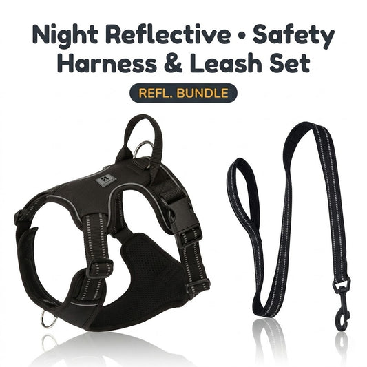 Reflective Harness & Leash Set