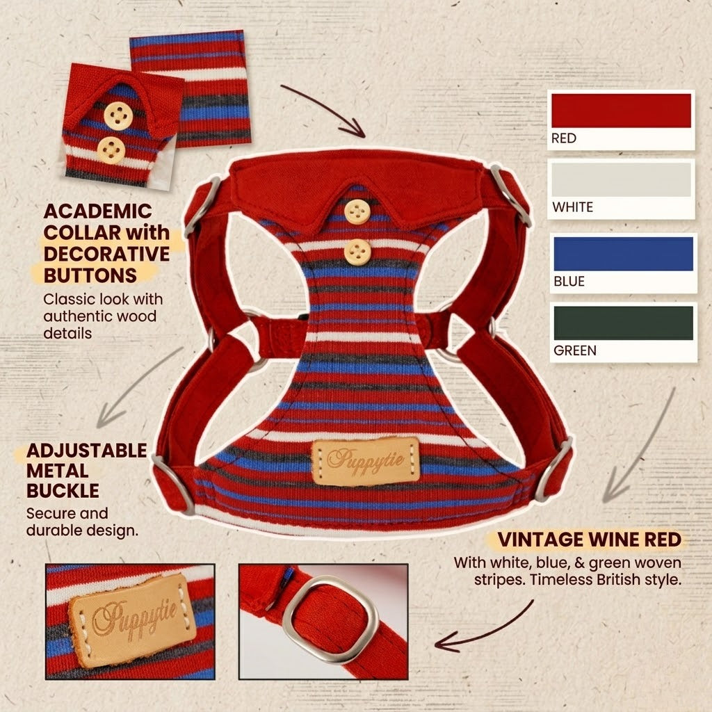 British Striped Harness & Leash Set – Burgundy
