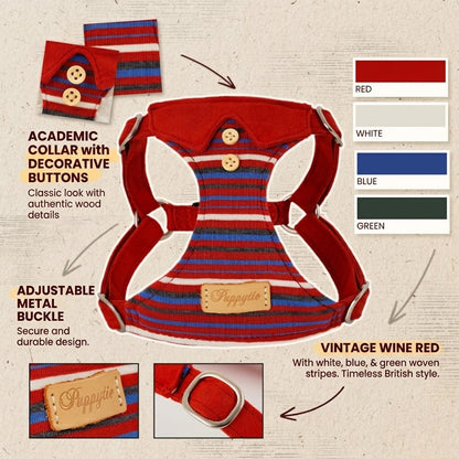 British Striped Harness & Leash Set – Burgundy
