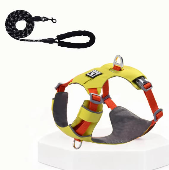 Lightweight Breathable Harness & Leash Set