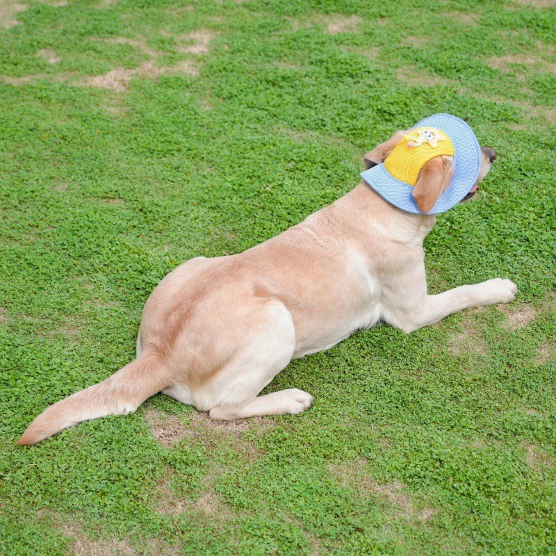 Cartoon Star Mesh Dog Hat