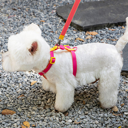 Waterproof Dog Harness