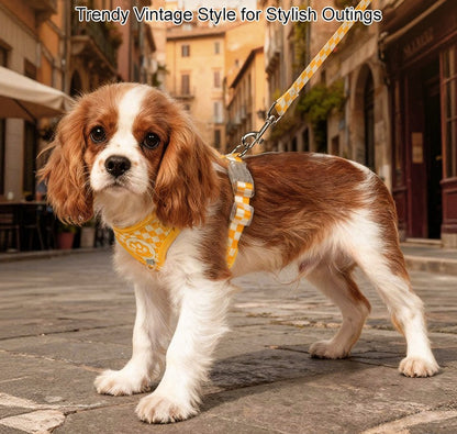 Checkerboard Harness & Leash Set
