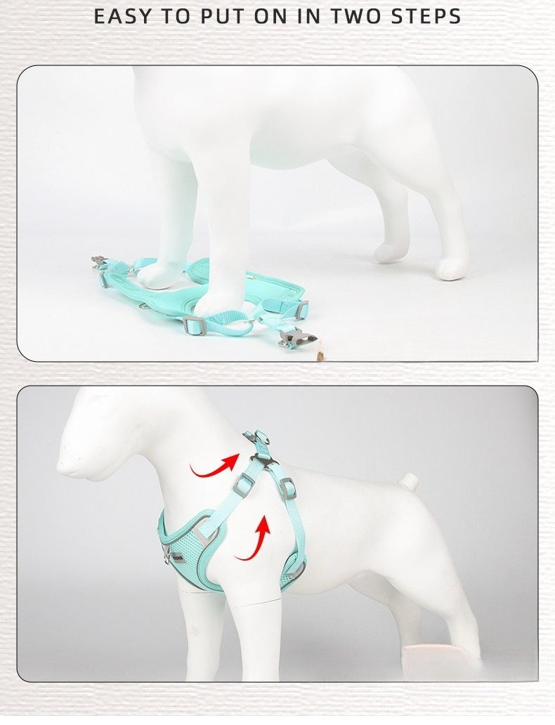 Breathable Mesh Harness & Leash Set
