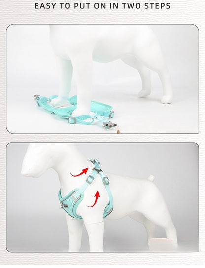 Breathable Mesh Harness & Leash Set