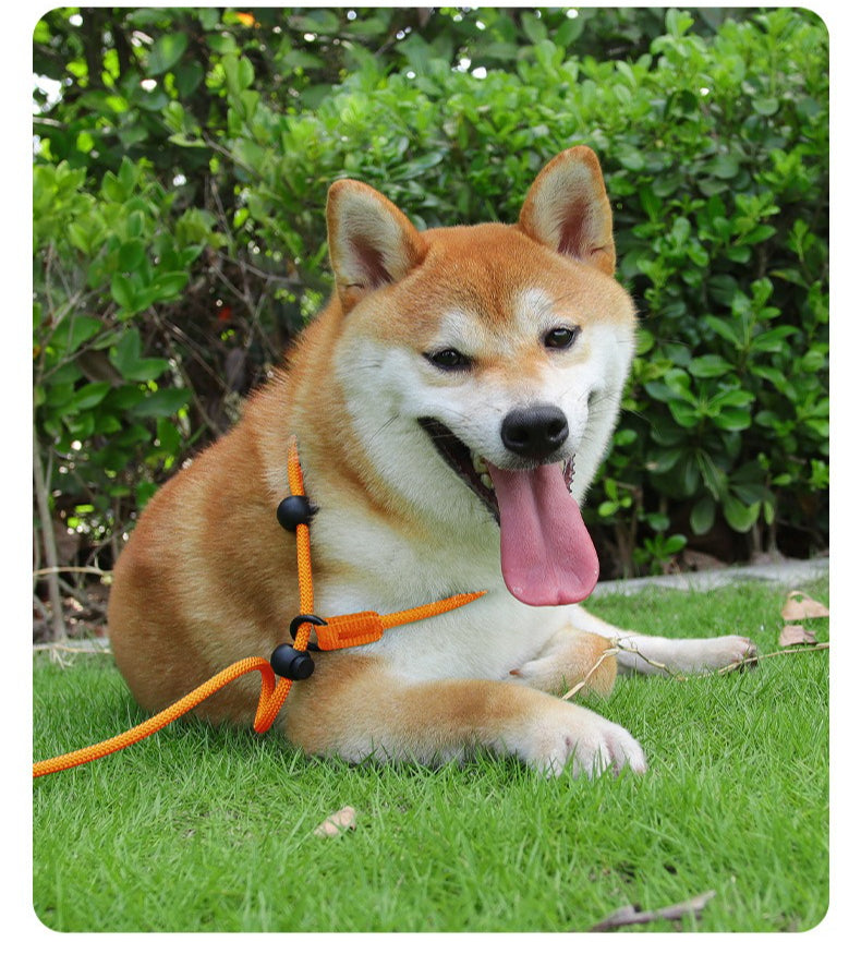 Braided Slip Lead Dog Leash