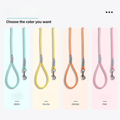 Braided Sponge Handle Dog Leash